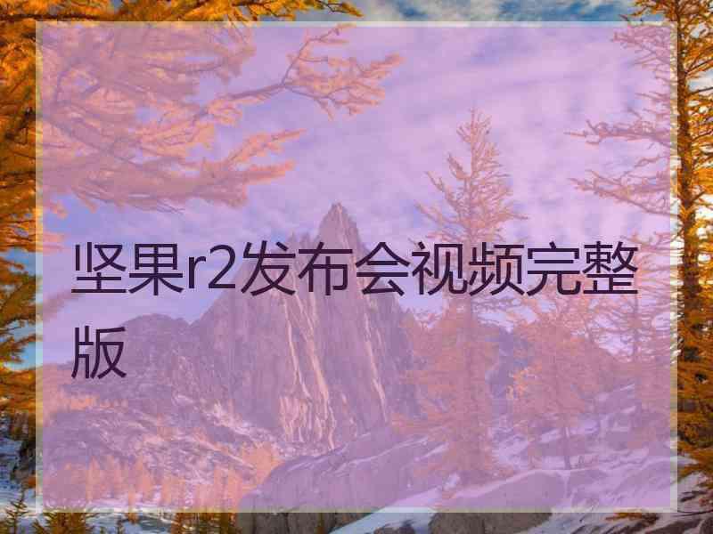 坚果r2发布会视频完整版