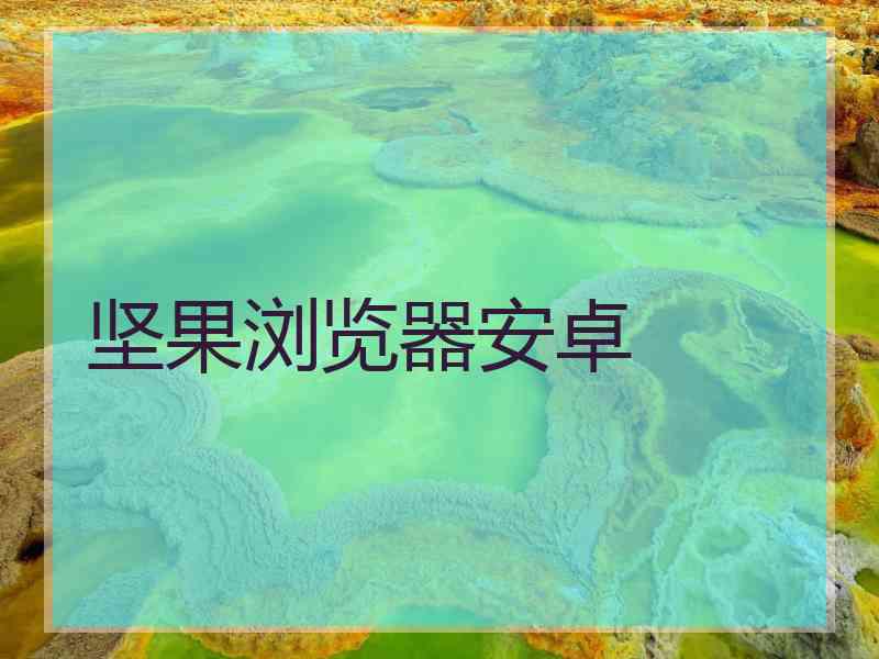 坚果浏览器安卓