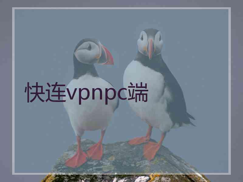 快连vpnpc端