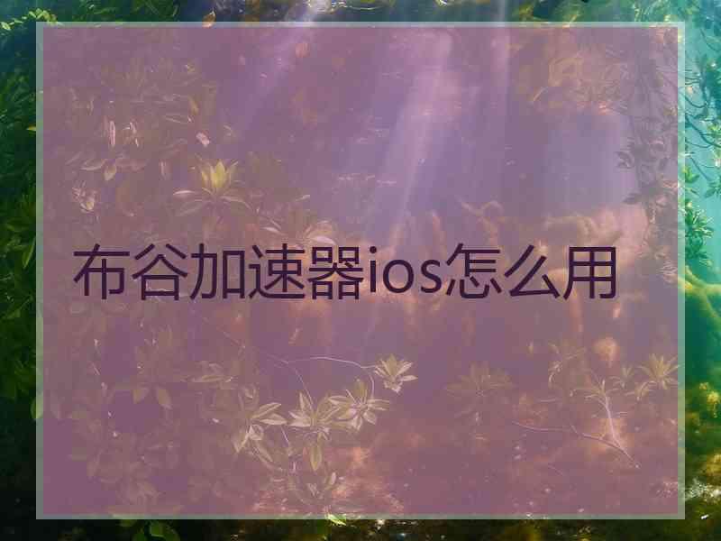布谷加速器ios怎么用