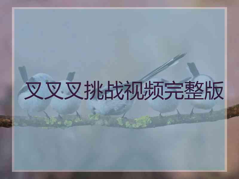 叉叉叉挑战视频完整版
