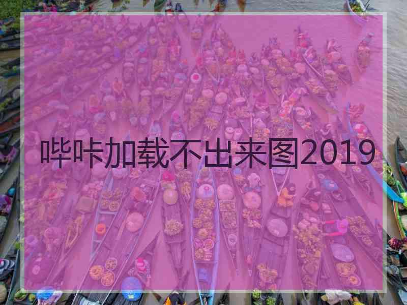 哔咔加载不出来图2019