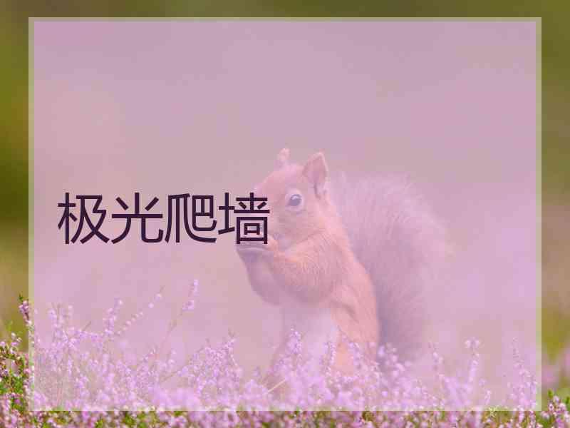 极光爬墙