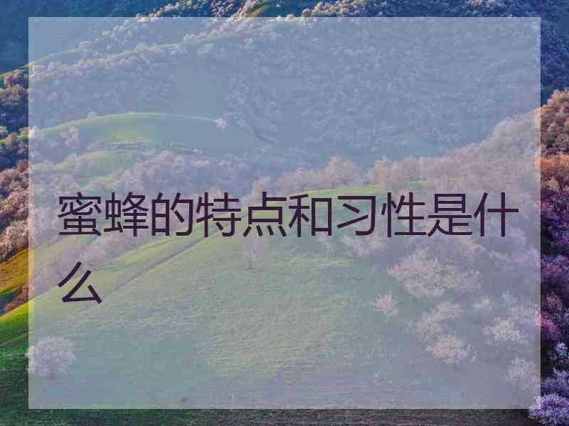 蜜蜂的特点和习性是什么
