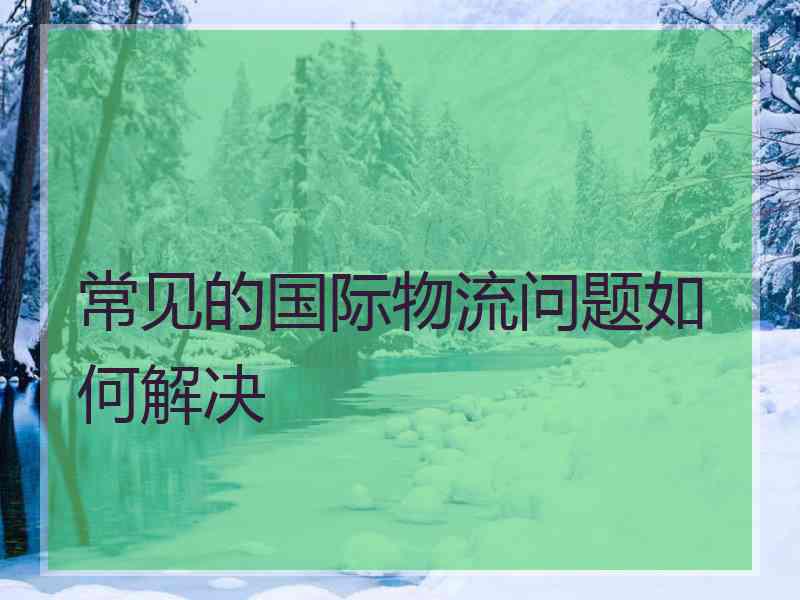 常见的国际物流问题如何解决