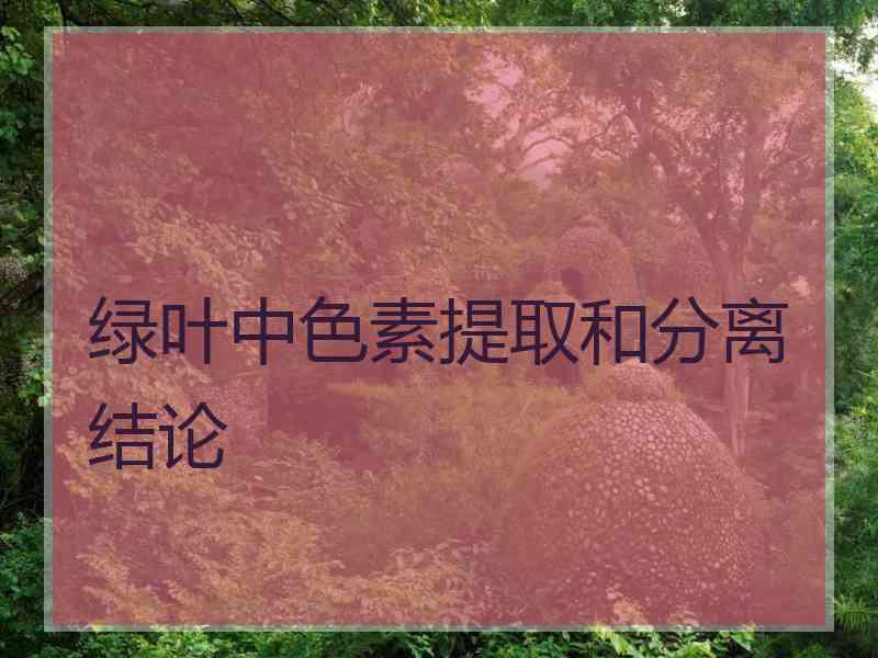 绿叶中色素提取和分离结论