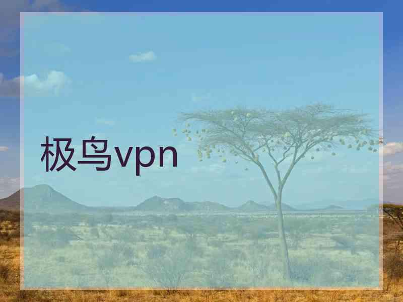 极鸟vpn
