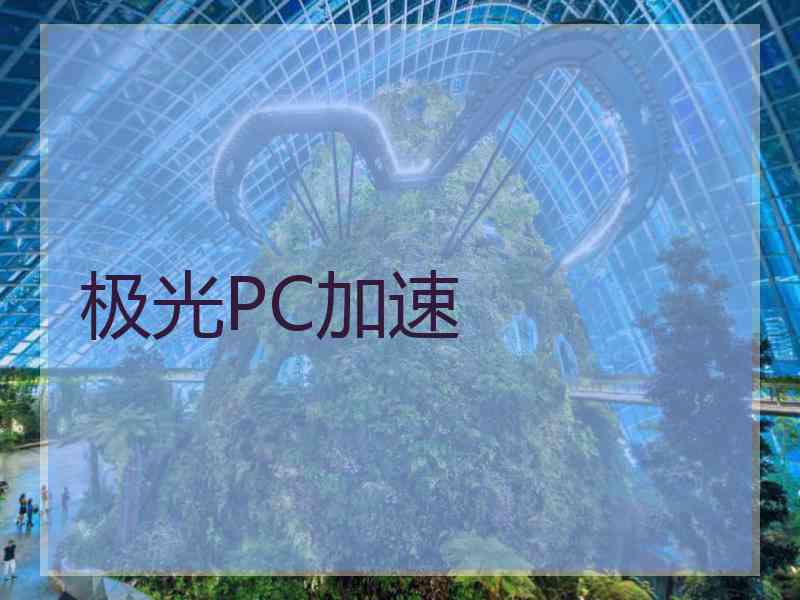 极光PC加速