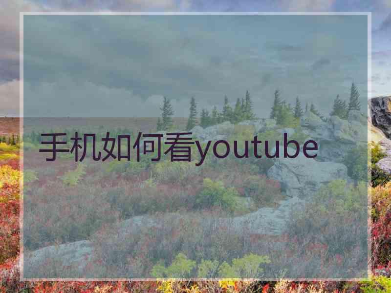 手机如何看youtube