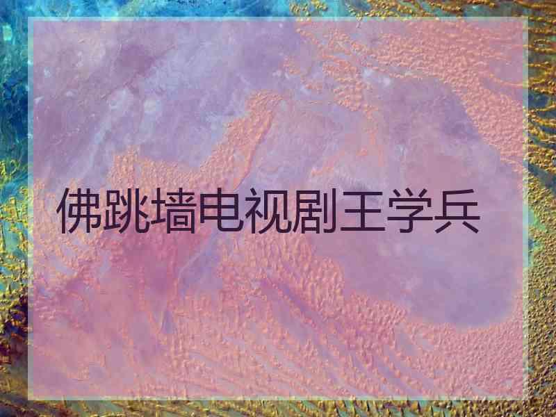 佛跳墙电视剧王学兵