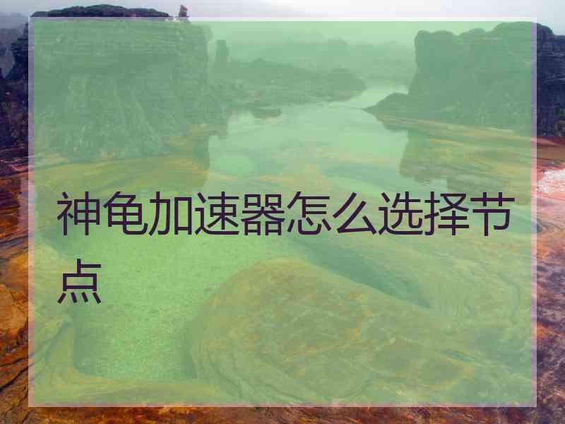 神龟加速器怎么选择节点