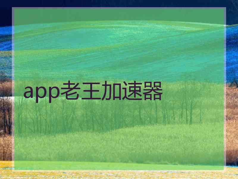 app老王加速器