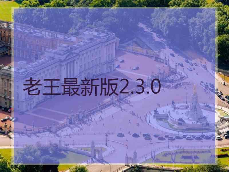 老王最新版2.3.0