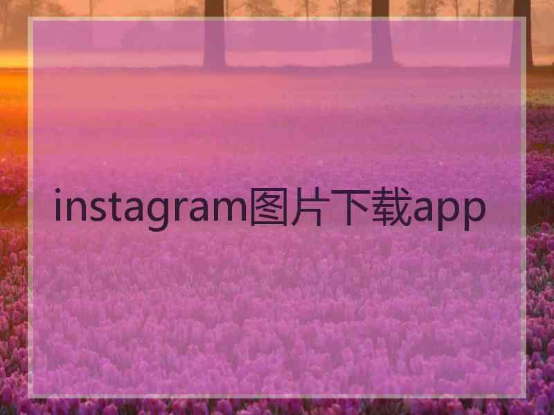 instagram图片下载app