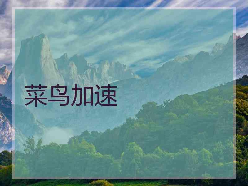 菜鸟加速