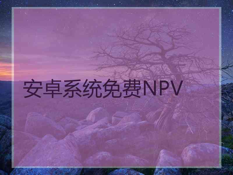 安卓系统免费NPV