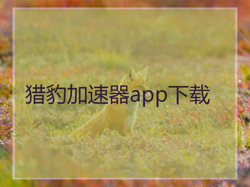 猎豹加速器app下载