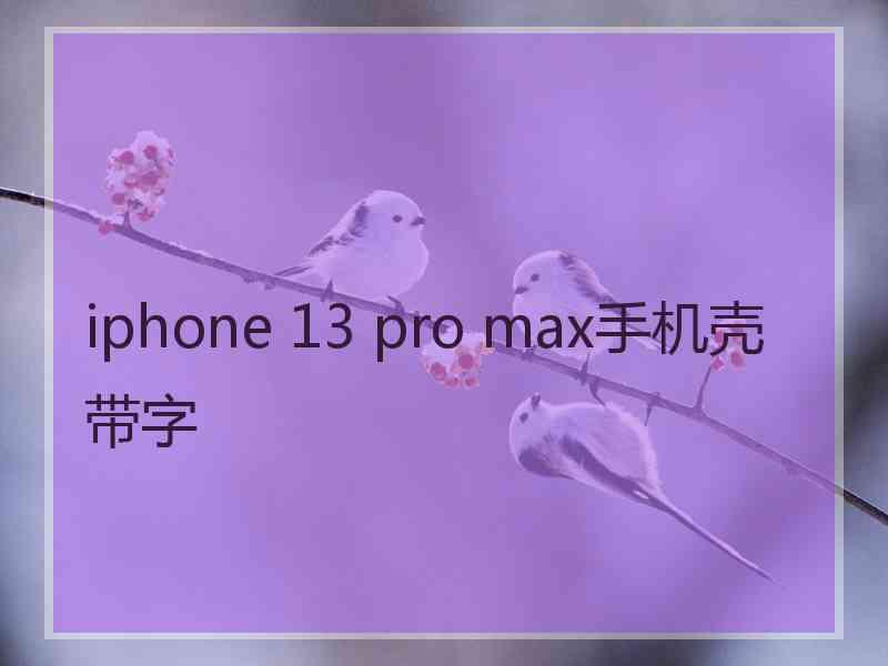 iphone 13 pro max手机壳带字