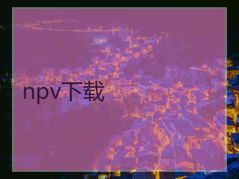 npv下载