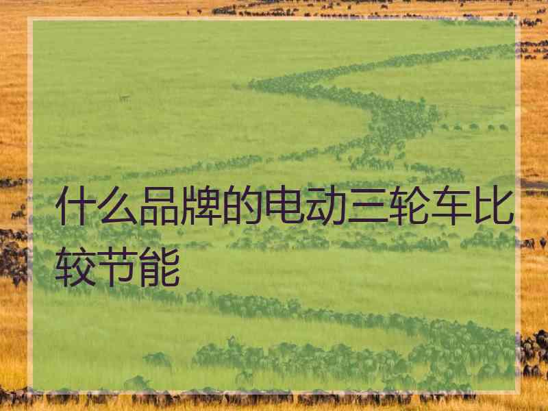 什么品牌的电动三轮车比较节能