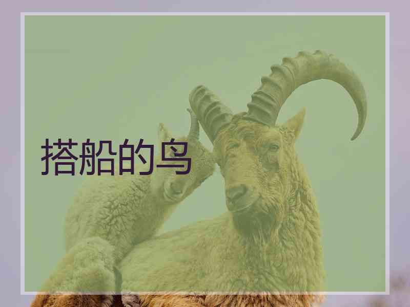 搭船的鸟