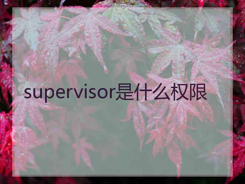 supervisor是什么权限