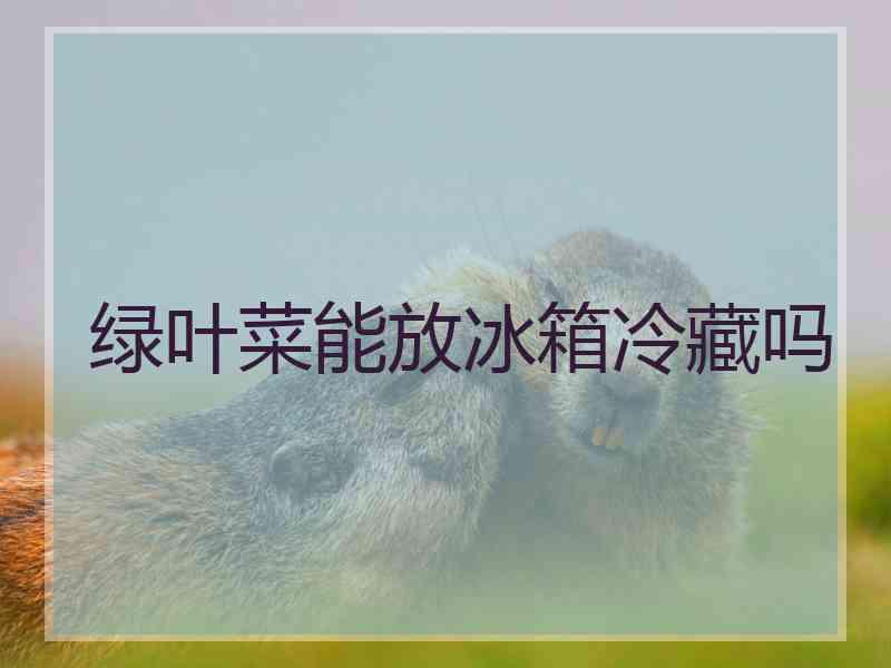 绿叶菜能放冰箱冷藏吗
