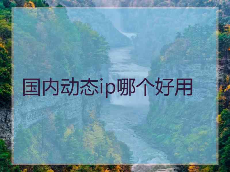 国内动态ip哪个好用