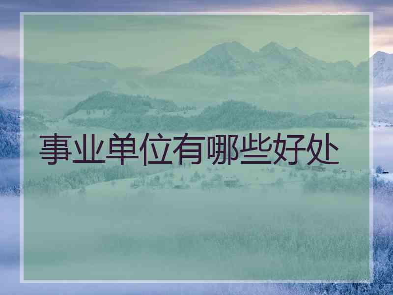 事业单位有哪些好处