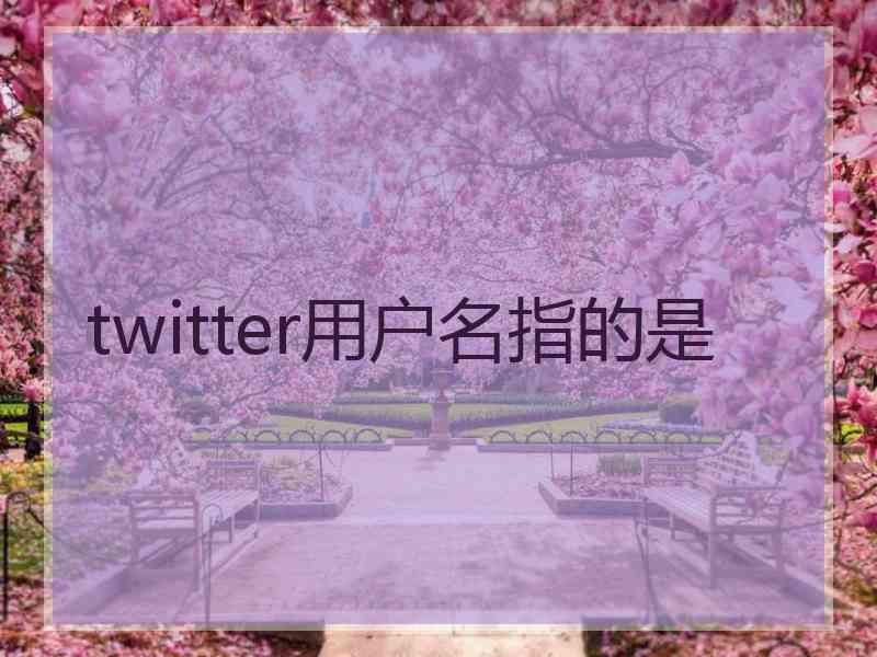 twitter用户名指的是