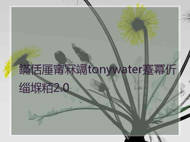 鏋佸厜甯冧竵tonywater蹇冪伒缁堢粨2.0