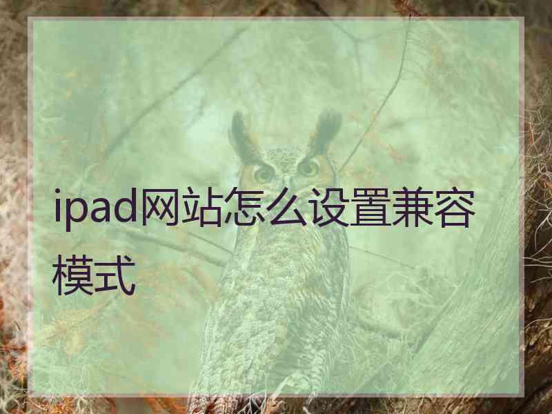 ipad网站怎么设置兼容模式