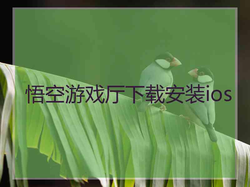 悟空游戏厅下载安装ios