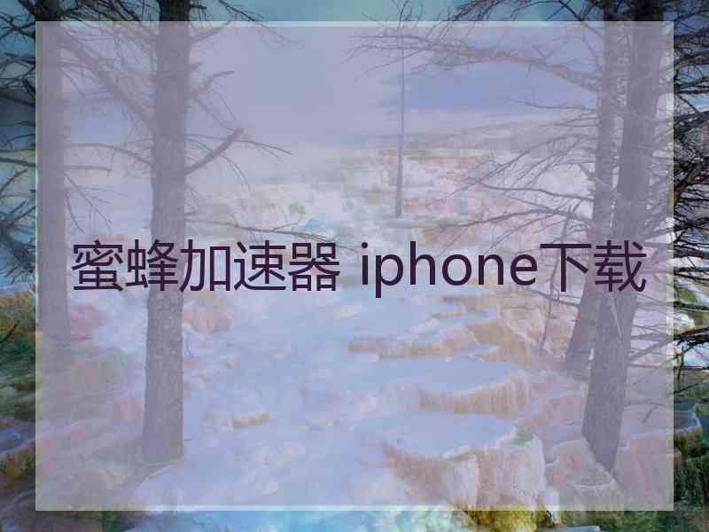 蜜蜂加速器 iphone下载