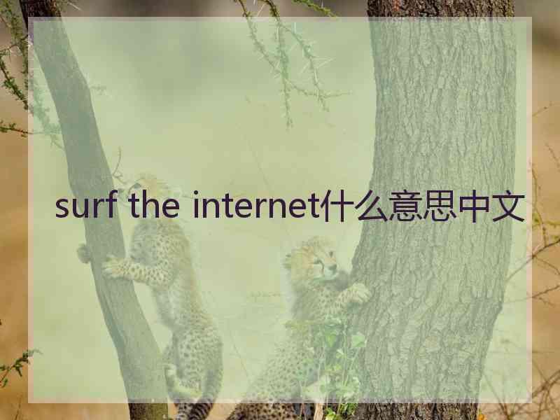 surf the internet什么意思中文
