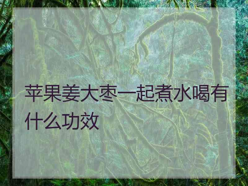 苹果姜大枣一起煮水喝有什么功效