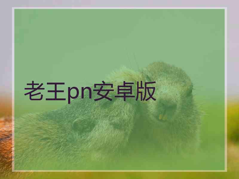 老王pn安卓版