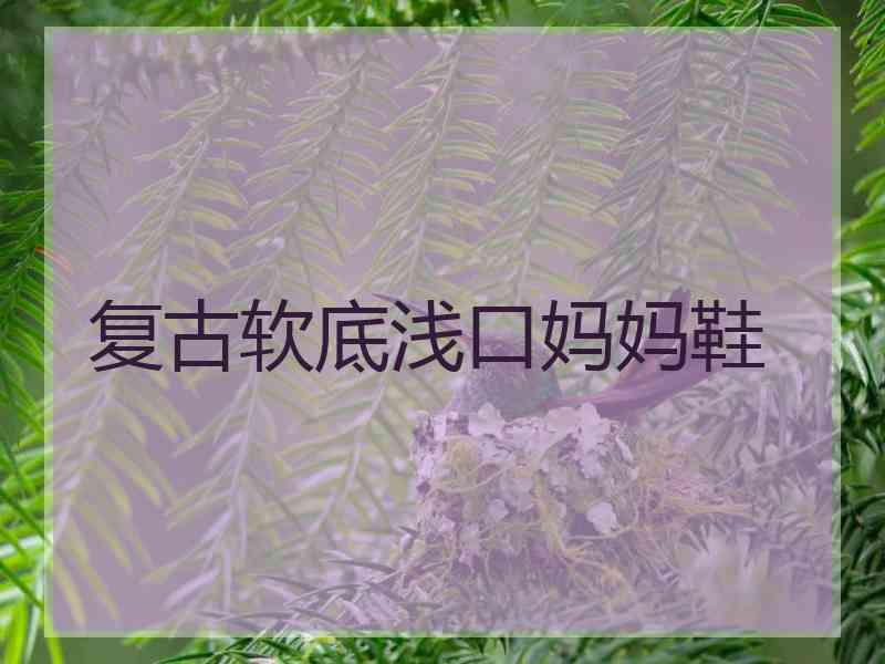 复古软底浅口妈妈鞋