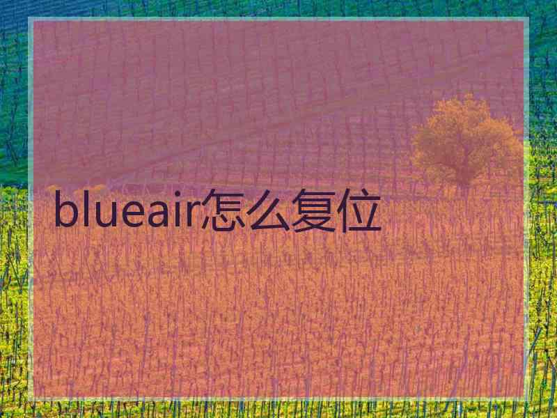 blueair怎么复位