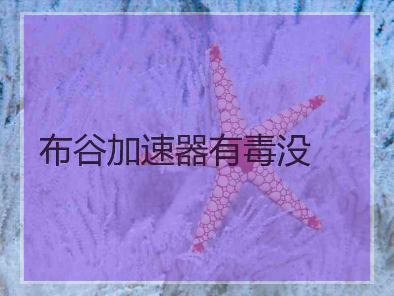 布谷加速器有毒没