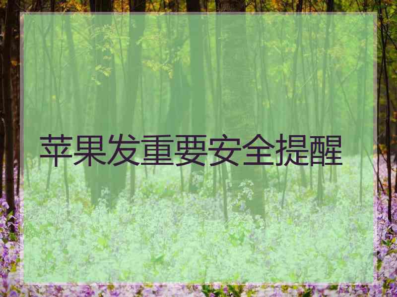 苹果发重要安全提醒