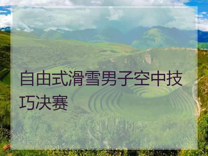 自由式滑雪男子空中技巧决赛
