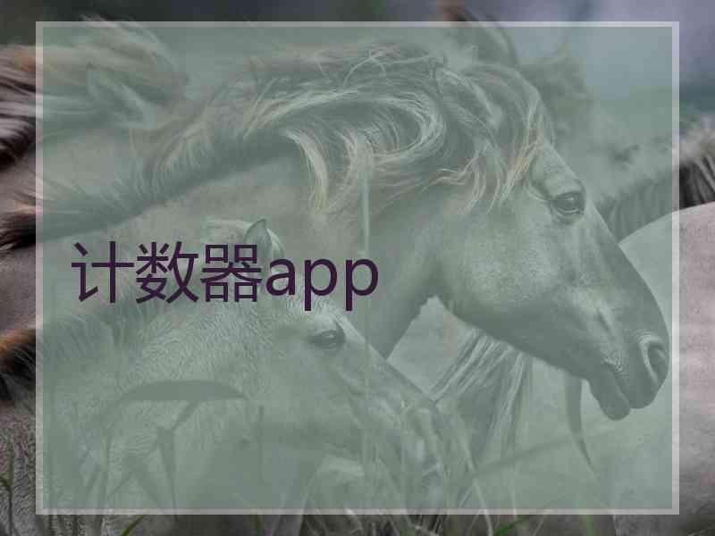 计数器app