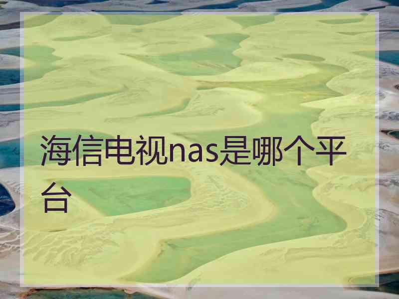 海信电视nas是哪个平台