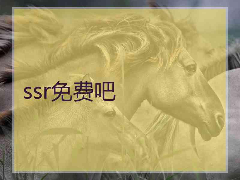 ssr免费吧