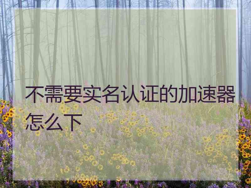 不需要实名认证的加速器怎么下