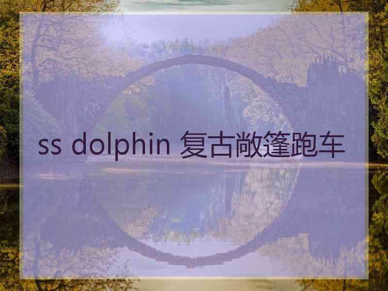 ss dolphin 复古敞篷跑车