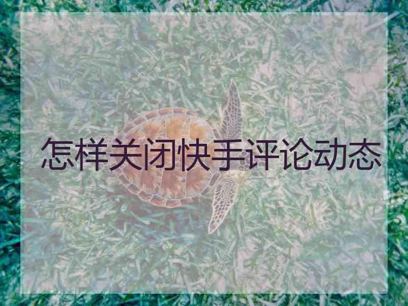 怎样关闭快手评论动态