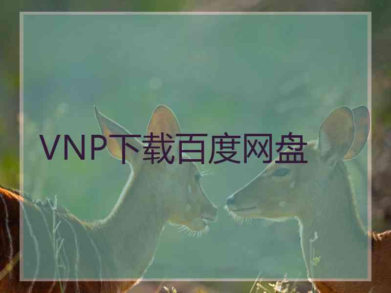 VNP下载百度网盘
