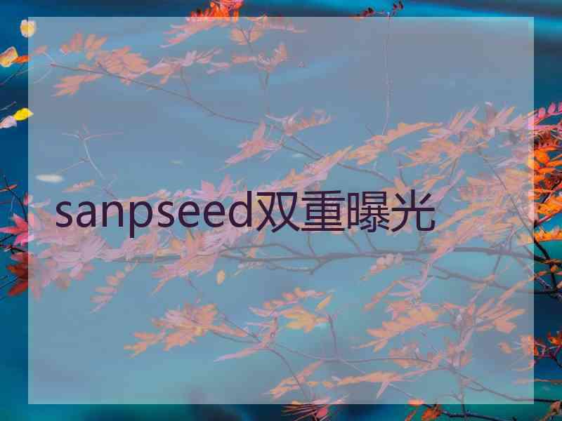 sanpseed双重曝光